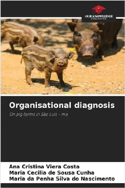 Organisational diagnosis by Costa, Ana Cristina Viera