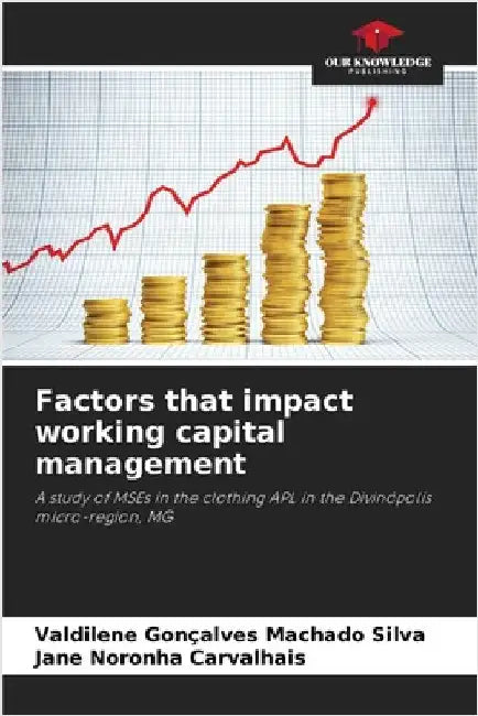 Factors that impact working capital management by Valdilene Gonçalves Machado Silva