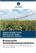 Bewässerte Sonnenblumenproduktion by Rogério Ricalde Torres