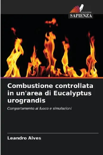 Combustione controllata in un'area di Eucalyptus urograndis by Leandro Alves