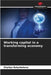 Working capital in a transforming economy by Batyrbekova, Zhyldyz