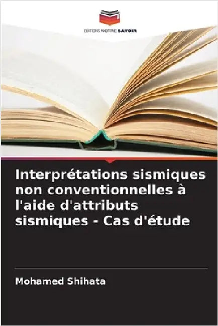 Interprétations sismiques non conventionnelles à l'aide d'attributs sismiques - Cas d'étude by Mohamed Shihata