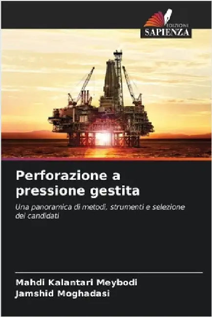 Perforazione a pressione gestita by Kalantari Meybodi, Mahdi