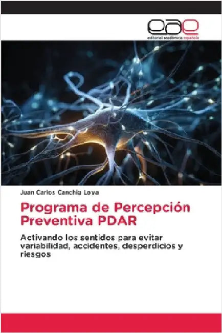 Programa de Percepción Preventiva PDAR by Juan Carlos Cánchig Loya