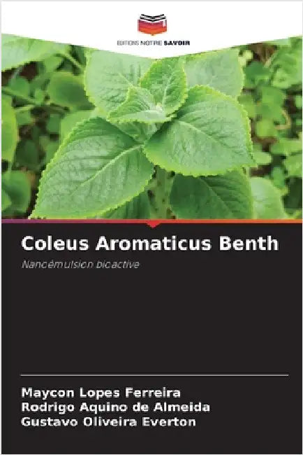 Coleus Aromaticus Benth by Maycon Lopes Ferreira