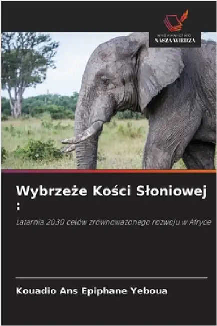 Wybrzeże Kości Sloniowej by Kouadio Ans Epiphane Yeboua