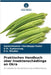 Praktisches Handbuch über Insektenschädlinge an Okra by Kedar, Santoshkumar Chandappa