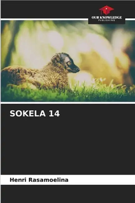 Sokela 14 by Henri Rasamoelina