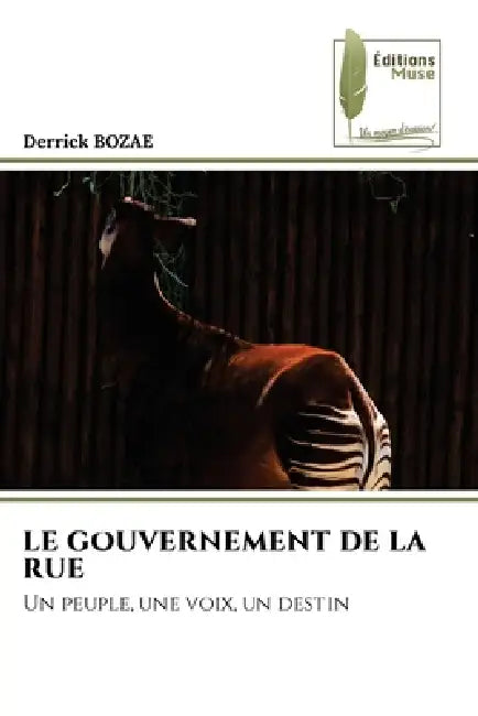 Le Gouvernement de la Rue by Derrick Bozae