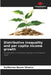 Distributive inequality and per capita income growth by Guilherme Neves Silveira