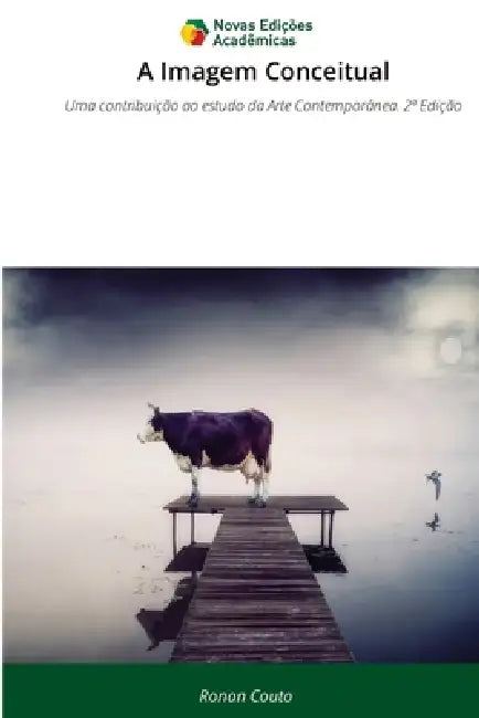 A Imagem Conceitual by Ronan Couto