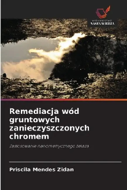 Remediacja wód gruntowych zanieczyszczonych chromem by Priscila Mendes Zidan