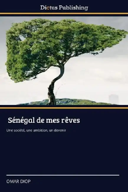 Sénégal de mes rêves by Omar Diop