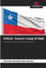Chile: Covert Coup D'Etat by Vicente Eduardo Díaz Godoy