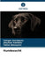 Hundezucht by Tulegen Asanbayev
