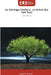 Le Moringa Oleifera, un Arbre Qui Fait Tout by Kpatcha Kpowbie