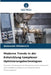 Moderne Trends in der Entwicklung komplexer Optimierungstechnologien by Aleksandr Mikhalevich