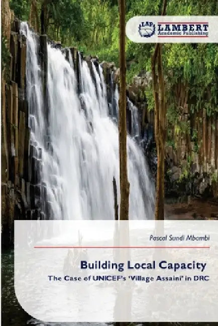 Building Local Capacity by Pascal Sundi Mbambi