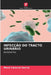 Infecção Do Tracto Urinário by María Cánovas García