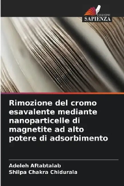 Rimozione del cromo esavalente mediante nanoparticelle di magnetite ad alto potere di adsorbimento by Adeleh Aftabtalab, Shilpa Chakra Chidurala