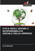 Etica Degli Affari E Responsabilità Sociale Delle Imprese by M. Devaki
