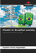 Plastic in Brazilian society by Yasmim Freitas Figueiredo