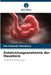 Entwicklungsanatomie der Haustiere by Om Prakash Choudhary