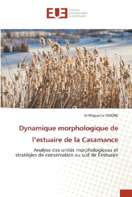 Dynamique morphologique de l'estuaire de la Casamance by Maguette Ndione