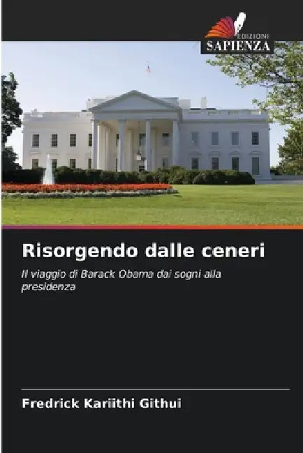 Risorgendo dalle ceneri by Fredrick Kariithi Githui