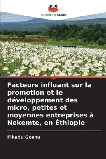 Facteurs influant sur la promotion et le développement des micro, petites et moyennes entreprises à Nekemte, en Éthiopie by Fikadu Goshu