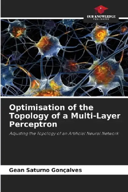 Optimisation of the Topology of a Multi-Layer Perceptron by Gean Saturno Gonçalves