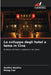 Lo sviluppo degli hotel a tema in Cina by Smitha Geetha, Wang Yue