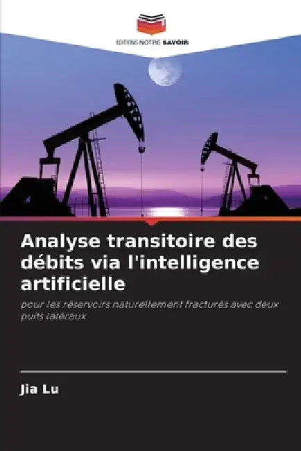 Analyse transitoire des débits via l'intelligence artificielle by Jia Lu