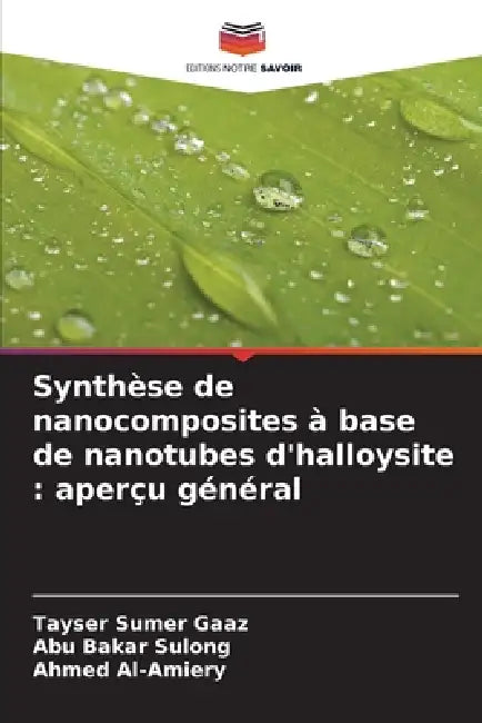 Synthèse de nanocomposites à base de nanotubes d'halloysite: aperçu général by Tayser Sumer Gaaz, Abu Bakar Sulong, Ahmed Al-Amiery