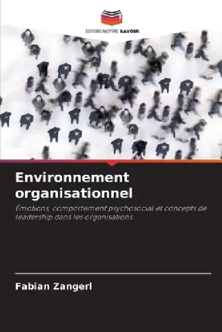 Environnement organisationnel by Fabian Zangerl