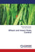 Wheat and Insect Pests Control by Mohamed Abdel-Raheem, Abeer Saleh Alabdallah