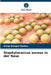 Staphylococcus aureus in der Nase by Gargi Dangre-Mudey