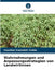 Wahrnehmungen und Anpassungsstrategien von Landwirtinnen by Faustina Essandoh-Yeddu