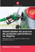 Elasticidades da procura de produtos petrolíferos na Nigéria by Abdulsalam Abubakar