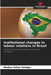 Institutional changes in labour relations in Brazil by Markus Hafner-Auinger