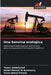 Una benzina ecologica by Tamer Abdellatief, Abdel-Monem El-Bassiouny, Tarek Aboul-Fotouh