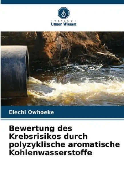 Bewertung des Krebsrisikos durch polyzyklische aromatische Kohlenwasserstoffe by Elechi Owhoeke