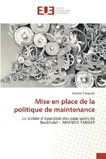 Mise en place de la politique de maintenance by Hanane Yaagoubi