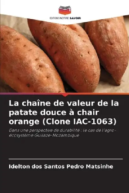 La chaîne de valeur de la patate douce à chair orange (Clone IAC-1063) by Idelton Dos Santos Pedro Matsinhe
