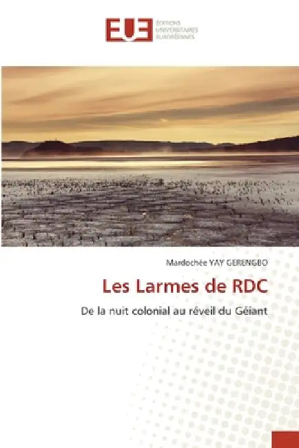 Les Larmes de RDC by Mardochée Yay Gerengbo