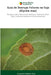 Guia de Doenças Foliares na Soja (Glycine max) by Jacqueline Dalbelo Puia