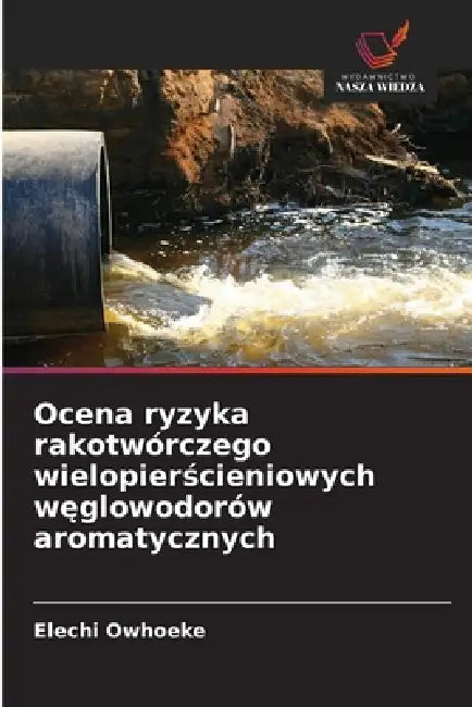 Ocena ryzyka rakotwórczego wielopierścieniowych węglowodorów aromatycznych by Elechi Owhoeke