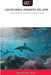 Los Delfines, Primates del Mar by Abel Hernandez -. Muñoz