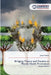 Bridging Theory and Practice in Mental Health Promotion by Juhani Heiska