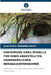 Einführung Eines Modells Für Einen Angestellten Handwerklichen Bergbauunternehmer by Jean Pierre Mwamba Ngoy